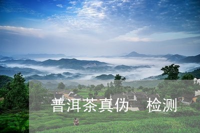 普洱茶真伪 检测/2023041000394